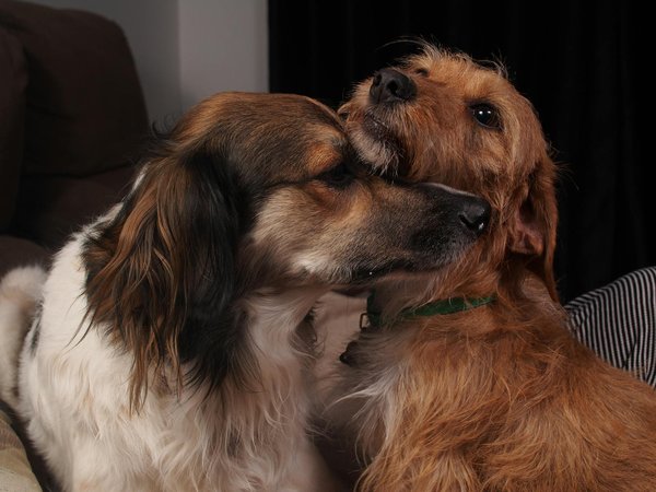 Cómo la IA está transformando en 2024 y más allá