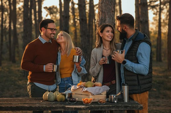 Come posso aiutare un gatto di razza Balinese a superare lo stress da viaggio?