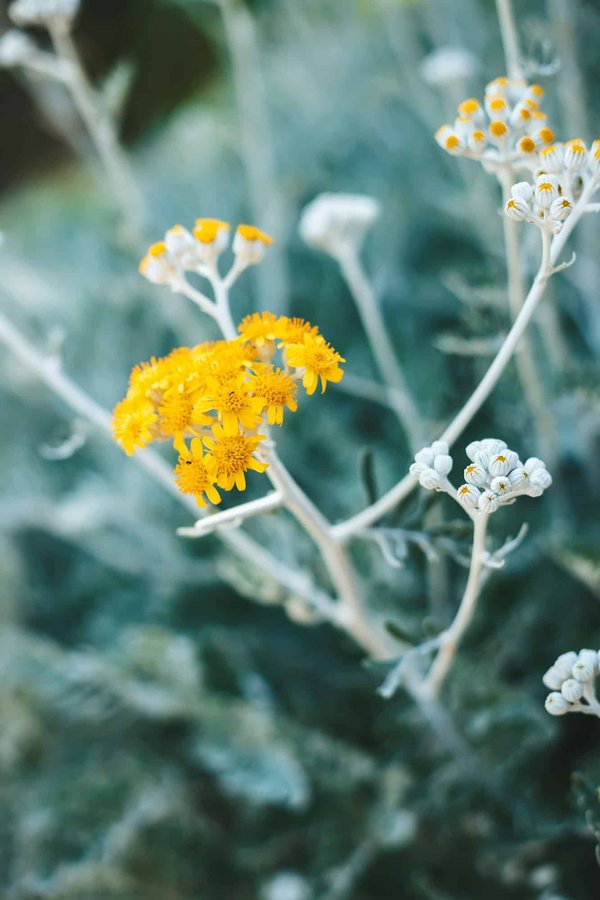 Come scegliere e utilizzare colori e materiali per un bagno in stile marittimo?