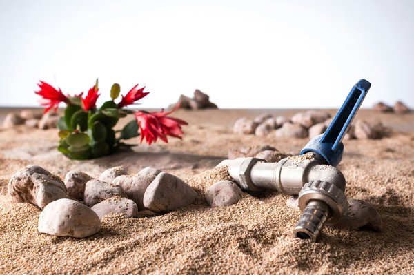 La evolución del deporte para navegar en tiempos inciertos